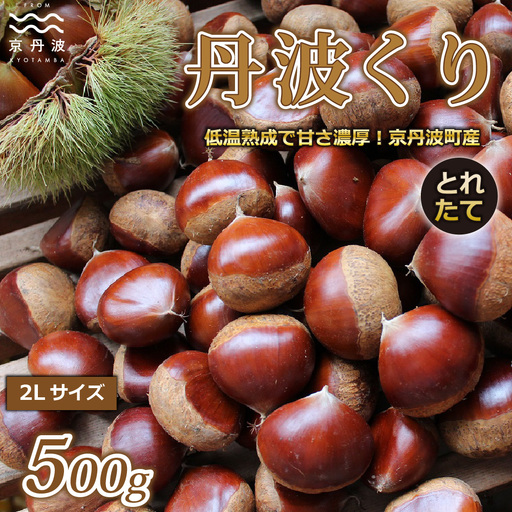 ≪数量限定≫ 丹波くり とれたて 500g 京都 京丹波町産 栗[大粒 和栗 国産栗 地域限定 丹波栗 くり 栗 栗ご飯] ※北海道・沖縄は配送不可 [008IM001L]