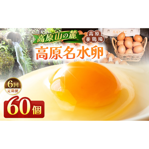 【定期便6回】高原名水 卵 60個｜豊かな自然で育ったアスタキサンチン含有の高原名水卵【感動の甘さと濃さ】栃木県 矢板市