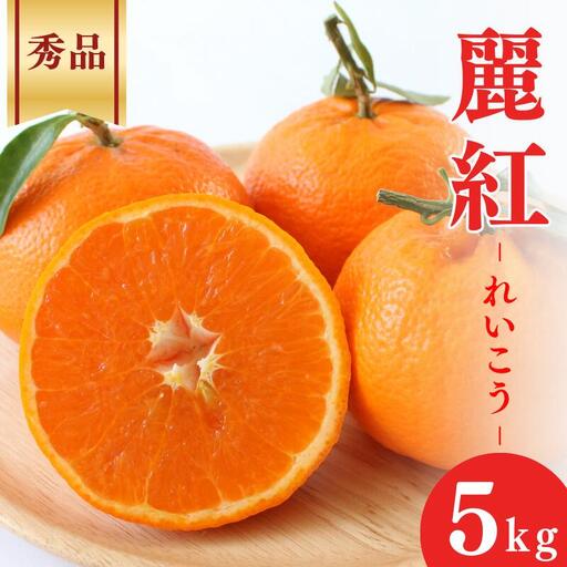 【先行予約】麗紅【秀品】5kg ※2027年2月下旬～3月下旬頃に順次発送予定【期間限定・数量限定】 / 柑橘 季節限定 お取り寄せ 産地直送 贈答品 ギフト 果物 フルーツ 田辺市 和歌山県【ymh006-1】