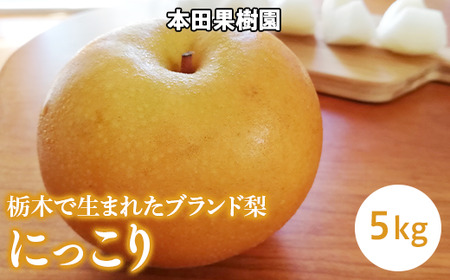 「にっこり」 梨 なし 5kg | 先行予約 数量限定 贈答用 なし 梨 果物 くだもの フルーツ ナシ 旬 にっこり 栃木県 上三川町 本田果樹園 ※2026年10月～発送