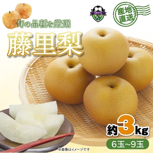 梨 藤里 3kg 梨 