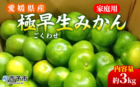 先行予約＜愛媛県産 極早生みかん 約3kg ご家庭用＞ 温州みかん 家庭用 訳あり 果物 ミカン 柑橘 フルーツ 選べる 食べて応援 特産品 段畑みかん 愛媛県 西予市【常温】『2026年9月中旬～10月中旬迄に順次出荷予定』ADM0018