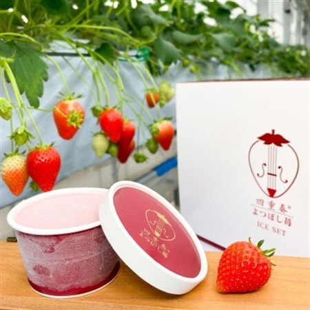 [産直]四重奏いちごアイス よつぼし使用 愛知県みよし市 6個セット(各90ml)[配送不可地域:離島]