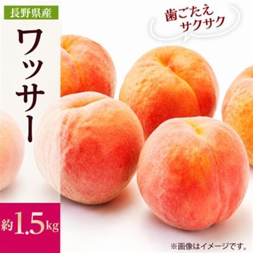 【2027年発送】フルーツ王国　長野県信州直送　ワッサー　約1.5kg(4～7玉)　【配送不可地域：離島】【1530500】