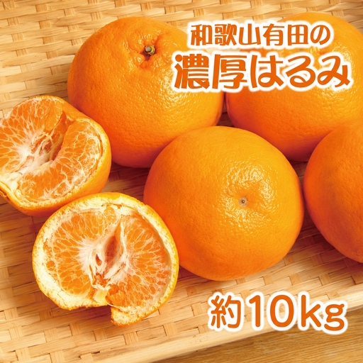 和歌山有田の濃厚はるみ約10kg (S又はMサイズ)※2027年1月下旬～2月中旬順次発送予定/みかん 蜜柑 フルーツ 果物 【ard204】