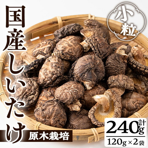 きのこ 国産 しいたけ(計240g・2袋)[九南サービス(タマチャンショップ)]A500-v01