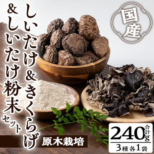 きのこ 国産 しいたけ 粉末 きくらげ セット(合計240g・3種)[九南サービス(タマチャンショップ)]A503-v01