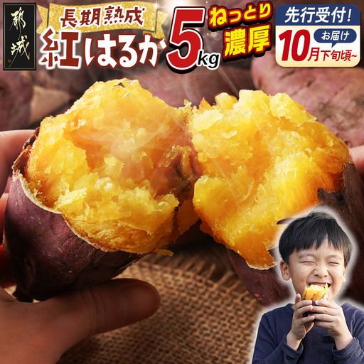 【先行受付】都城産 長期熟成紅はるか 5kg≪2026年10月下旬頃より順次お届け≫〔AA-I2-001-5kg-10〕_(都城市) 都城産さつまいも 熟成紅はるか 5kg 長期熟成 スイーツ