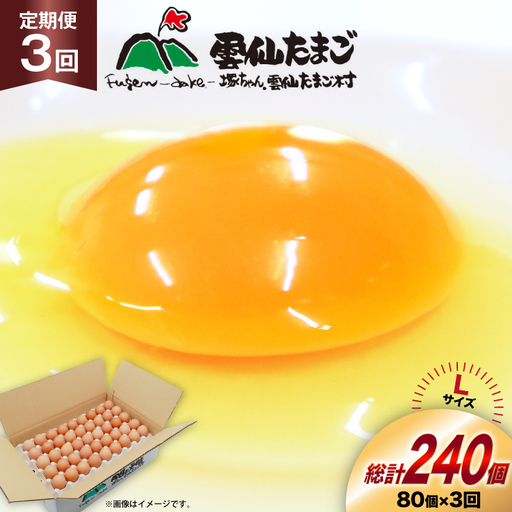 BI037 3回 定期便 たっぷり！ 雲仙たまごLサイズ 80個 (75個＋割れ補償5個入り)