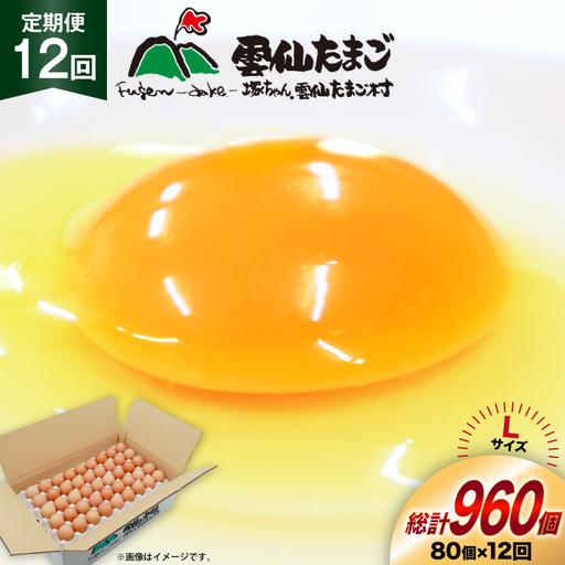 BI039 12回 定期便 たっぷり！ 雲仙たまごLサイズ 80個 (75個＋割れ補償5個入り)
