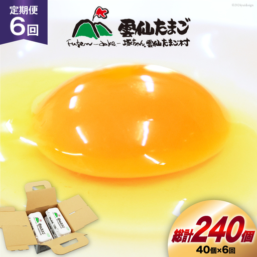 BI032 6回 定期便 雲仙たまごLサイズ 40個 (10個入り×4パック) (37個＋割れ補償3個入り)