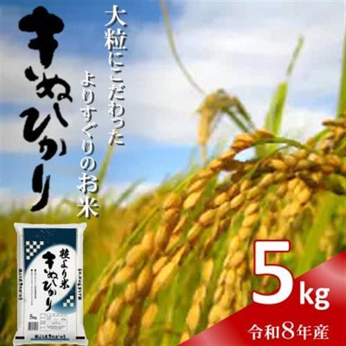 令和8年産(2026年産) 粒より米「 きぬひかり 」精米 5kg 