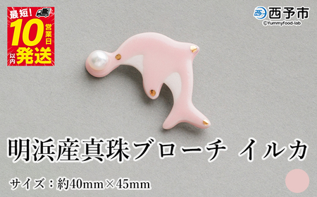 保証書付＜明浜産 真珠ブローチ イルカ（桃色）＞ 8.0～8.5mm 純国産 高品質 アコヤ真珠 宇和海 パール アクセサリー ピンク 陶器 ファッション レディース 小物 女性 誕生日 記念日 佐藤真珠 cosmic 愛媛県 西予市【常温】『最短10営業日以内に順次発送予定』ASS0039