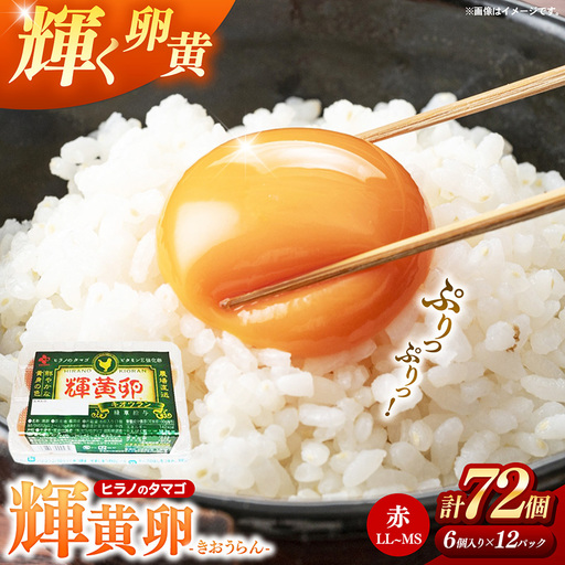 ヒラノのたまご 輝黄卵（きおうらん）72個（6個入り×12パック） 【 卵 たまご タマゴ 国産 新鮮 直送 輝黄卵 きおうらん 朝ごはん 卵かけごはん 福岡県 筑前町 AJ006】