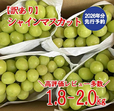 [2026年発送分 先行予約]＼高評価多数/[訳あり]シャインマスカット 1.8kg〜2kg (3〜6房) [8月下旬以降発送予定] 訳アリ 訳あり品 シャイン マスカット ぶどう ブドウ 葡萄 徳用 家庭用 ご家庭用 旬 新鮮 約2kg 約1.8kg 1.9kg くだもの 果物 フルーツ 山梨 やまなし 富士川町