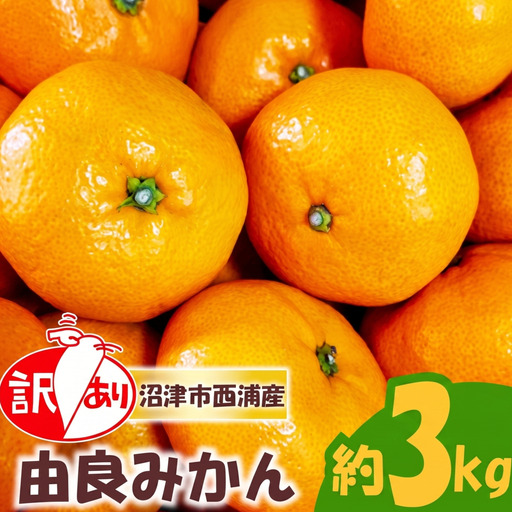 [予約受付]訳あり 由良 みかん 約3kg 産地直送 柑橘 フルーツ 果物 ご家庭用