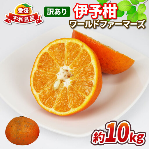 愛媛みかん 訳あり 伊予柑 10kg WF 愛媛みかん B010-024022