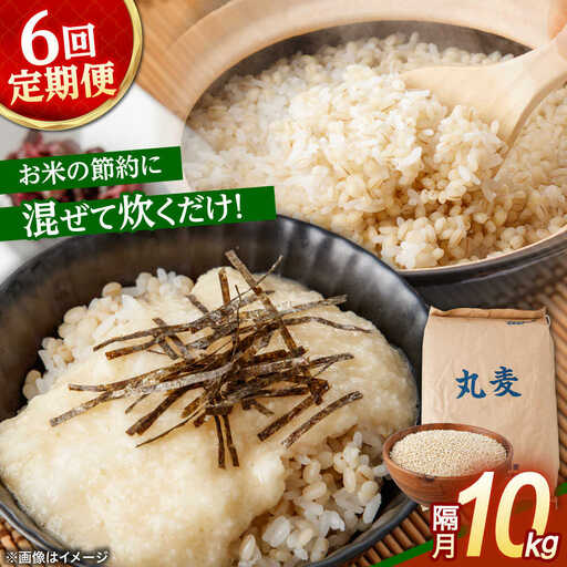 もち麦よりも『ぷりっ』とした弾力 【隔月6回定期便】長崎県産 丸麦 10kg / 麦 むぎ 雑穀 雑穀米 麦ごはん 麦飯 麦みそ 食物繊維 長崎県産 米 こめ コメ ※ / 諫早市 / 有限会社伊東精麦 [AHBU007]