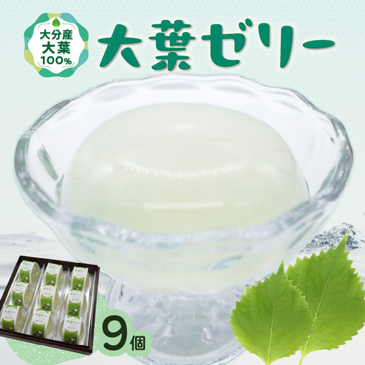 大葉ゼリー 9個入り J05009