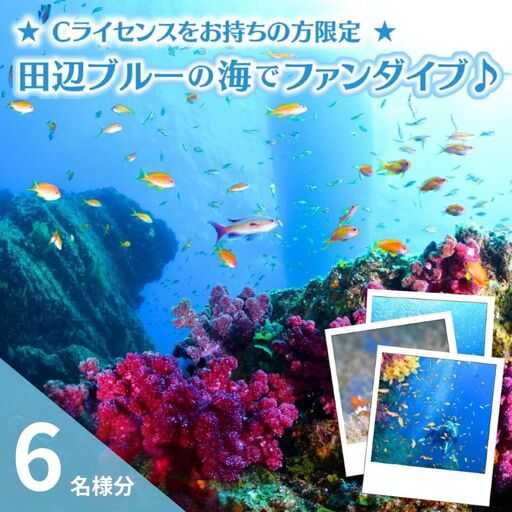 【和歌山 田辺・ファンダイブ／2ボート】大阪から2時間で叶う！田辺ブルーの海♪　6名様 ★Cライセンスお持ちの方限定★ / ダイビング スキューバダイビング ファンダイビング マリンスポーツ 体験 旅行 観光 レジャー アウトドア サンゴ 熱帯魚 水中 癒し【tds001-6-1】
