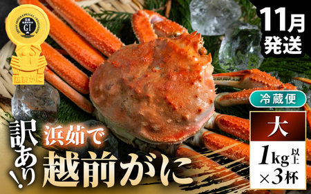 先行予約【冷蔵】越前がに 訳あり 足折れ 大 1.0kg以上（茹で前）×3杯 【2026年11月上旬以降順次発送予定】 [m21-x008_11]