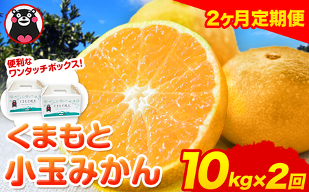 [2ヶ月定期便]訳あり みかん 小玉みかん くまもと小玉みかん 10kg (10kg×1箱) 秋 旬 不揃い 傷 ご家庭用 SDGs 小玉 たっぷり 熊本県 産 S-3Sサイズ フルーツ 旬 柑橘 長洲町 温州みかん[10月-11月出荷]