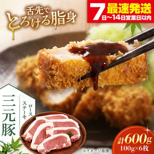 平田牧場 ロース ステーキ 600g  (100g×6枚) ※藻塩ナシ 豚肉 ロース とんかつ 生姜焼き [AJAP068]