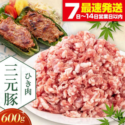  ひき肉 600g ひき肉 AJAP076