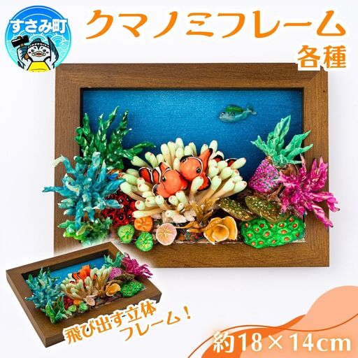 クマノミ各種　フレーム  /  魚 さかな フィッシュ 釣り 海 うみ クマノミ 海水魚 海の生き物 鍵 かぎ 家 車 自転車 かわいい お土産 雑貨 思い出 プレゼント ギフト すさみ 【mac007A】