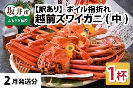 【2月発送】【先行予約】【訳あり】越前がに（中）1杯 指折れ 越前ズワイガニ [E-4353_02]