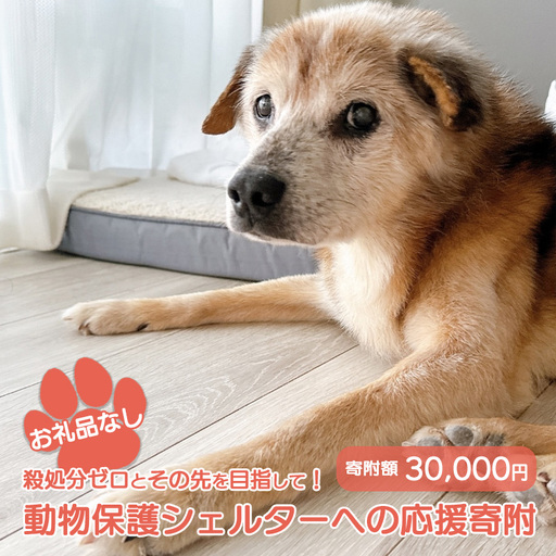 【お礼品なし】殺処分ゼロとその先を目指して！　動物保護シェルターへの応援寄附　30,000円/応援寄付金 返礼品なし お礼の品なし 地元支援 地域支援 ふるさと支援 殺処分 ゼロ 0 感謝 動物愛護 イヌ 犬 ネコ 猫 助ける命 小さな命 保護犬 保護ネコ どうぶつ 環境整備 ボランティア 慈善事業 岩手県 矢巾町