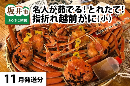 [11月発送][先行予約][訳あり]茹で越前がに(小)6杯 やまに仕込み [H-4302_11]