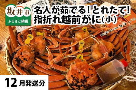 【12月発送】【先行予約】【訳あり】茹で越前がに（小）6杯 やまに仕込み [H-4302_12]