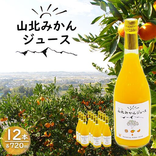 山北みかんジュース720ml12本[みかんジュースみかんジュースみかんジュースみかんジュース] yk-0053