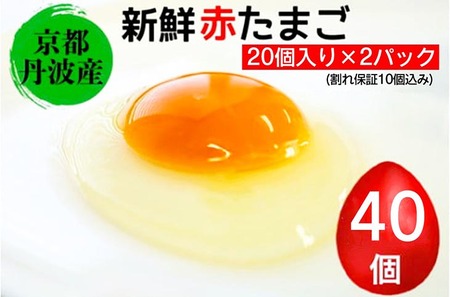卵 赤たまご 40個 卵[北海道・沖縄・離島配送不可]