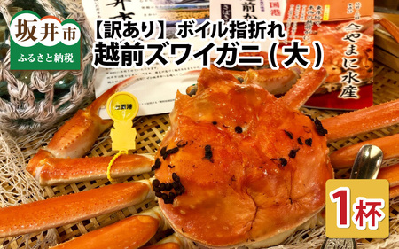 【2月発送】【先行予約】【訳あり】越前がに（大）1杯 1kg前後 越前ズワイガニ [K-4303_02]