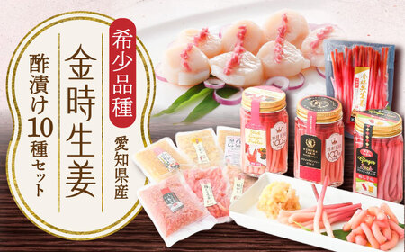 金時生姜 酢漬け 10種セット / 生姜 酢漬け 漬物 ピクルス おつまみ ギフト / 稲沢市 / 有限会社木村農園 [BMBN002]