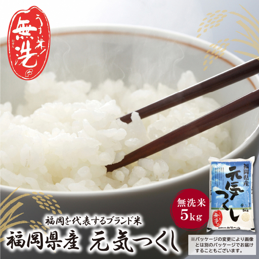 Z17-21 令和7年産 無洗米 元気つくし5kg