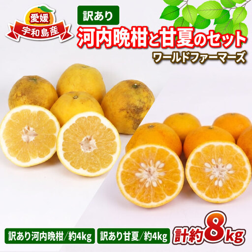 愛媛みかん 訳あり 河内晩柑 約 4kg 甘夏 約 4kg セット ワールドファーマーズ わけあり 先行予約 かわちばんかん あまなつ 愛媛蜜柑 愛媛ミカン 訳あり品 みかん mikan 果物 くだもの フルーツ 柑橘 蜜柑 産地直送 数量限定 愛媛県 国産 宇和島