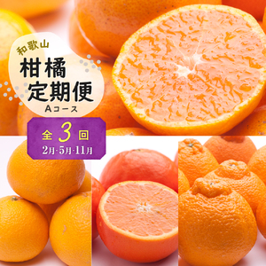 季節の柑橘定期便A【全3回】【和歌山県有田】_ZH7021