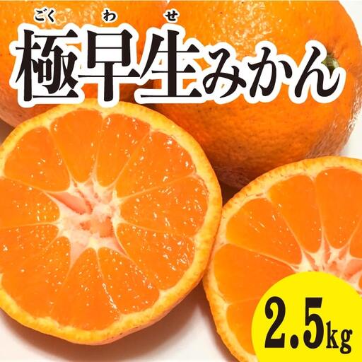 みかん 柑橘[先行受付][2026年10月中旬以降発送] 甘さと酸味が絶妙!極早生 みかん 約2.5kg 三原 佐木島 017038