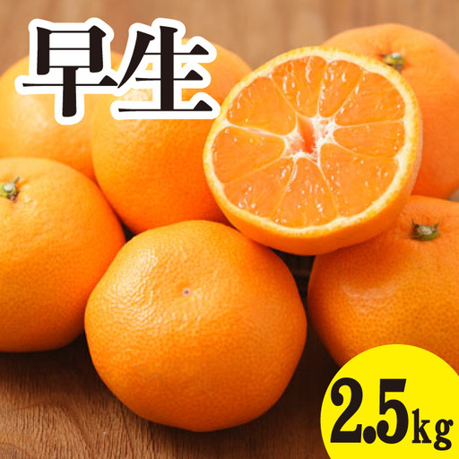 みかん【先行受付】【2026年11月以降発送】甘いだけじゃない！ 甘みと酸味の 早生みかん ＜約2.5kg＞ 広島 三原 佐木島 鷺島みかんじま 017039