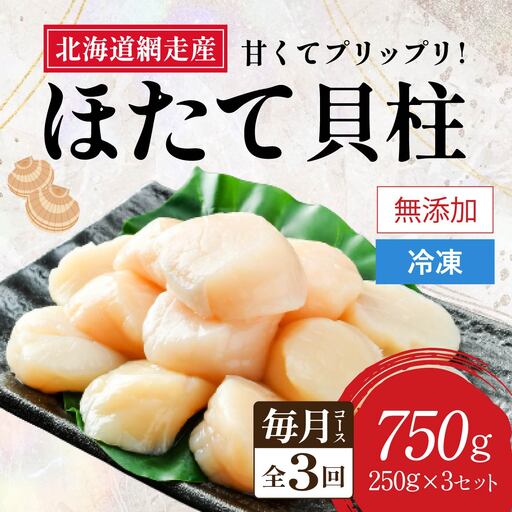 [定期便全3回(毎月)]網走前浜産 無添加ホタテ貝柱750g(250g×3袋) ABAI033 | ホタテ