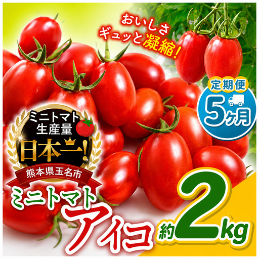 【 定期便 5回 】ミニトマト アイコ 約2kg｜サザキ農園