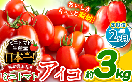 【 定期便 2回 】ミニトマト アイコ 約3kg | サザキ農園
