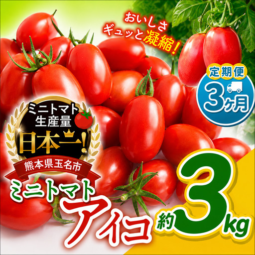 【 定期便 3回 】ミニトマト アイコ 約3kg｜サザキ農園