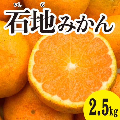 みかん 柑橘[先行受付][2026年12月以降発送]糖度が高く濃厚! 石地みかん [約2.5kg] 広島 三原 佐木島 鷺島みかんじま 017041