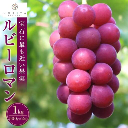 高級ぶどう ルビーロマン 1kg（500g×2房）希少品 贈答用 ギフト お中元 夏ギフト プレゼント