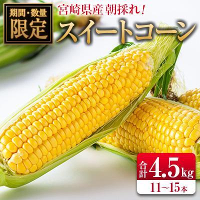 [2027年発送]朝採れスイートコーン 計約4.5kg 宮崎県産
