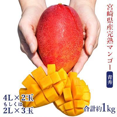 宮崎県産完熟マンゴー[青秀] 合計約1kg(2〜3玉)